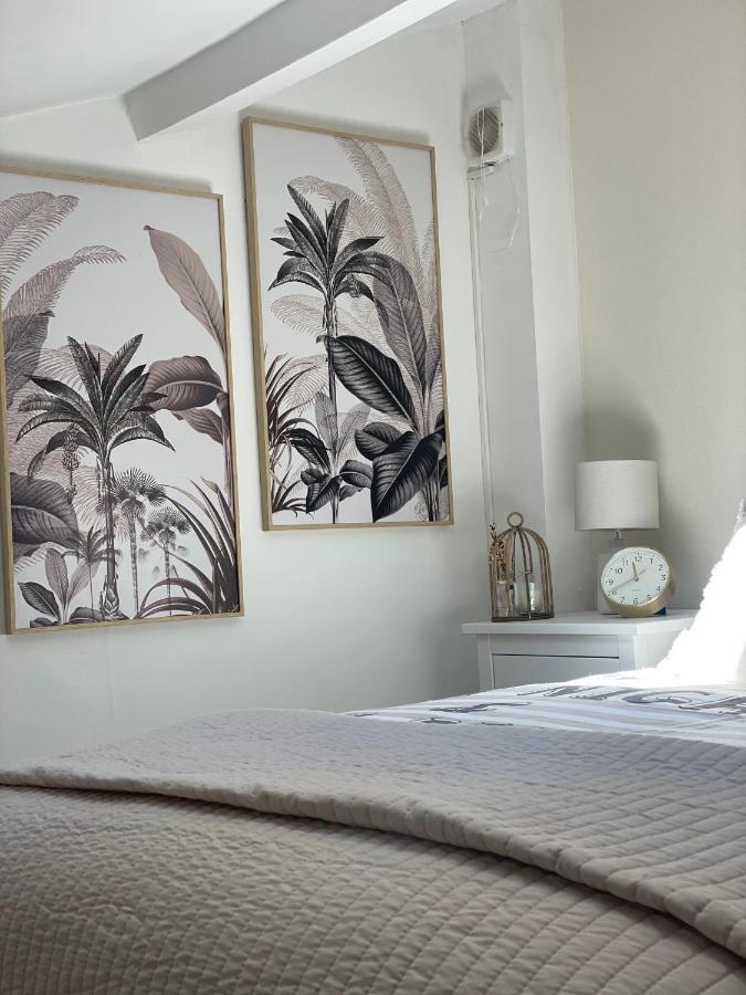 Magnifique T2 Duplex Secteur Gare/Theatre Apartment Sete Bagian luar foto